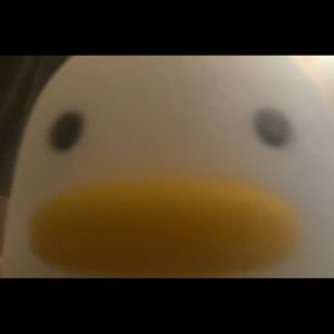 Meet your Posher, Taya